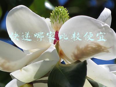 快递哪家比较便宜
