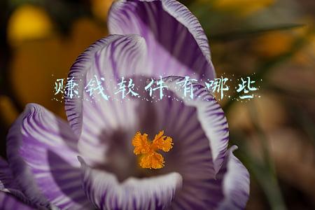 赚钱软件有哪些