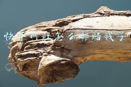 快手网红为什么要赔款(主播辛巴被告，被诉7971万元赔偿！公司火速回应：负责到底，全部赔付)