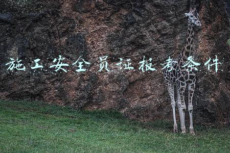 施工安全员证报考条件