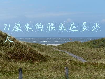 71厘米的腰围是多少尺