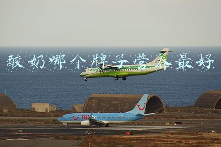 酸奶哪个牌子营养最好