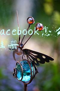 facebook怎么注册