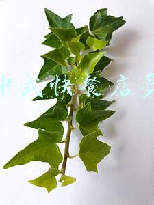 开家快餐店需要多少钱 开一个小快餐店大约需要多少钱？？