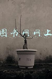 中国图书网网上书店