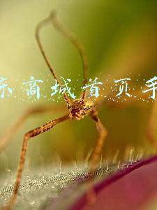 京东商城首页手机
