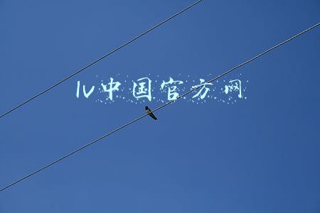 lv中国官方网