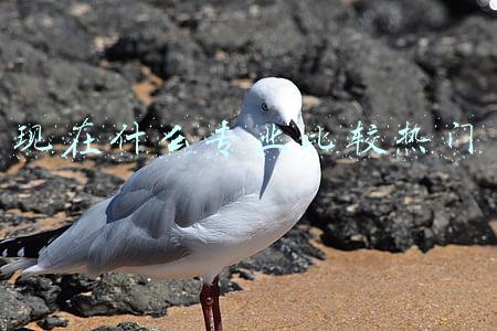 现在什么专业比较热门