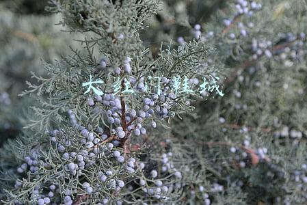 大红门鞋城还在营业吗(时隔两年 大红门“回来了”)