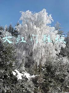 大红门鞋城