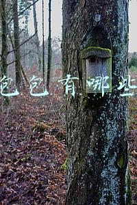女士包包有哪些品牌