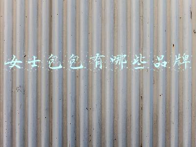 女士包包有哪些品牌
