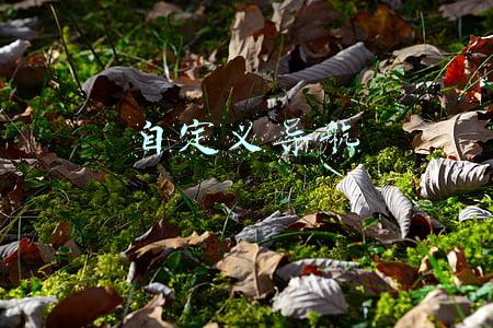 自定义导航