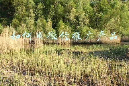 怎么用微信推广产品(微信广告投放怎么做？)