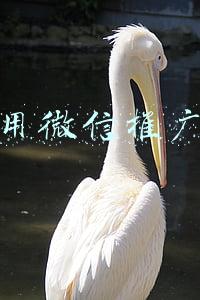 如何用微信推广产品的好处(微信朋友圈广告的精准投放有哪些优势？)