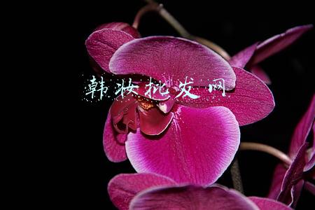 韩妆批发网