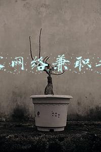 威客网络兼职平台
