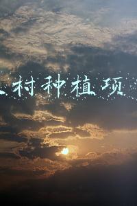 农村种植项目