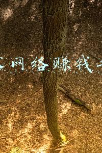 威客网络赚钱平台 威客网络赚钱平台