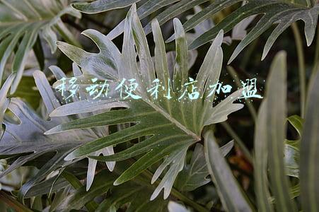 移动便利店加盟