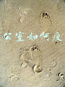 坐办公室如何瘦肚子
