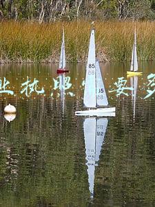 办营业执照需要多少钱