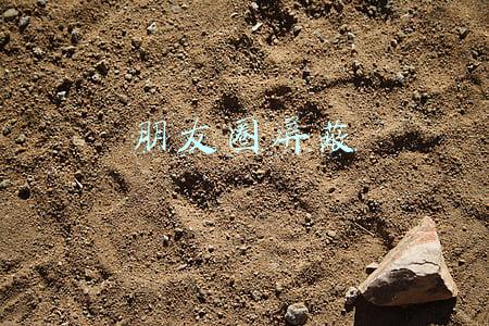 朋友圈屏蔽