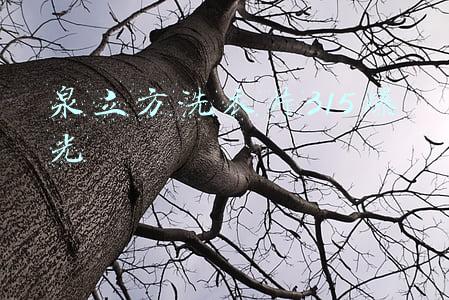 泉立方洗衣片价格(泉立方洗衣片对孩子有危害吗 真的有荧光剂吗)