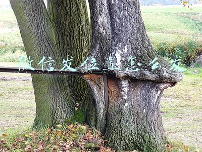 微信发位置怎么发