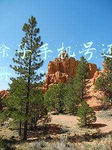 微信除了手机号还能怎么注册