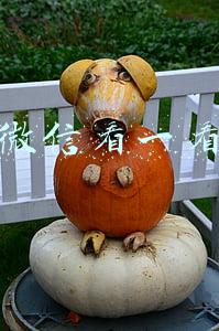 微信看一看
