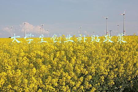 大学生创业补贴政策2022标准(2022届毕业生求职创业补贴发放工作启动 求职创业补贴标准为每人3000元)