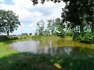 微信朋友圈可以发动图吗(朋友圈不能发动图？我有办法！)