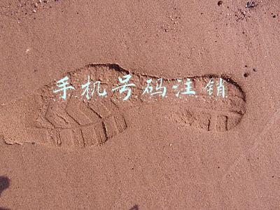 手机号码注销了还能查到个人信息吗(阿姨爷叔请提问｜名下几张电话卡，来这里一证通查)