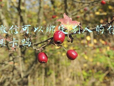 微信可以绑定别人的信用卡吗
