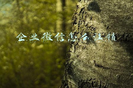 企业微信怎么注销个人账号(注册企业微信的步骤)