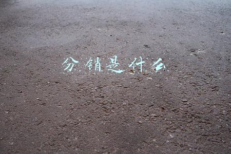 分销是什么