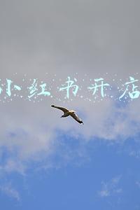小红书开店要求(小红书开店资格有变化了 用户只要申请即可开店？)