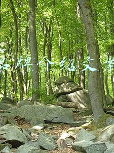 产品介绍文案(如何制作产品介绍PPT？这里有20套PPT模板和范文可参考下载)