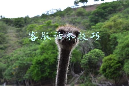 客服话术技巧