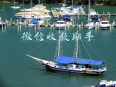 微信收款助手