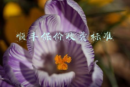 顺丰保价收费标准