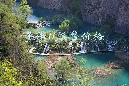 苹果11预售价格