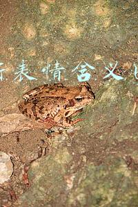 微信新表情含义图解大全