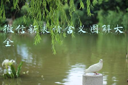 微信新表情含义图解大全