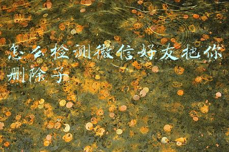 怎么检测微信好友把你删除了