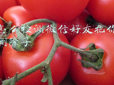 怎么检测微信好友把你删除了