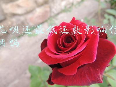 花呗还最低还款影响信用吗
