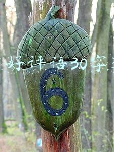衣服淘宝好评语30字通用(淘宝好评语收集（淘宝买家好评语）)