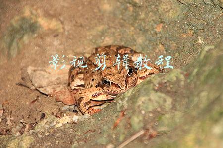 影视剪辑教程自学(如何从零基础开始学习影视后期剪辑)